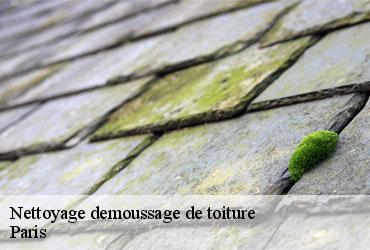 Nettoyage demoussage de toiture 75 Paris  SCHEIT URGENCE TOITURE 75