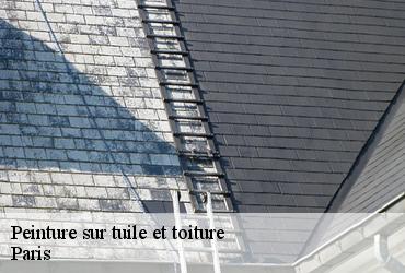 Peinture sur tuile et toiture 75 Paris  AR renovation