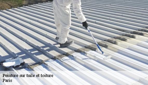 Peinture sur tuile et toiture 75 Paris  AR renovation
