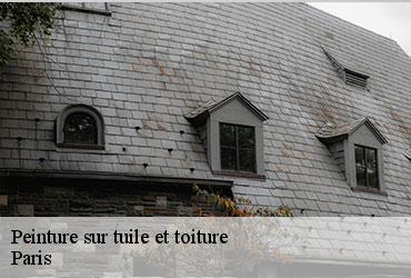 Peinture sur tuile et toiture 75 Paris  Scheit couverture 75