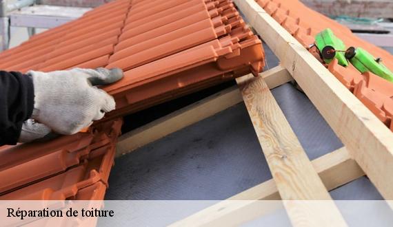 Réparation de toiture 75 Paris  AR renovation