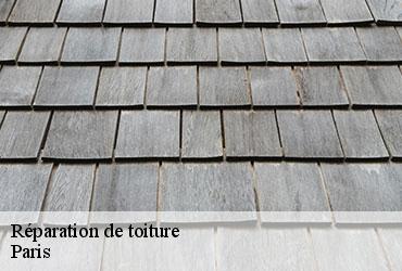 Réparation de toiture 75 Paris  Scheit couverture 75
