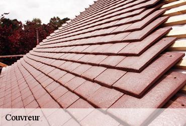 Couvreur  paris-75000 AR renovation