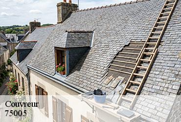 Couvreur  paris-5-75005 AR renovation
