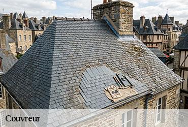 Couvreur  paris-5-75005 AR renovation