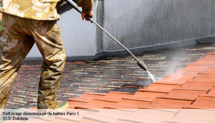 Nettoyage demoussage de toiture  paris-1-75001 TCE Dalstein