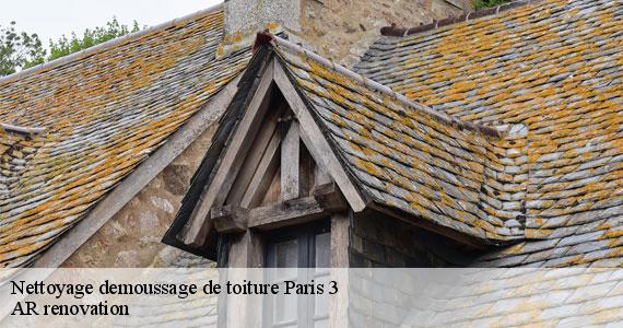 Nettoyage demoussage de toiture  paris-3-75003 AR renovation