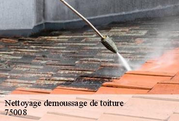 Nettoyage demoussage de toiture  paris-8-75008 AR renovation