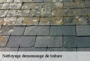Nettoyage demoussage de toiture  paris-8-75008 AR renovation
