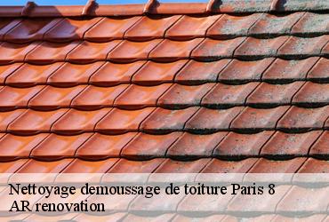 Nettoyage demoussage de toiture  paris-8-75008 AR renovation