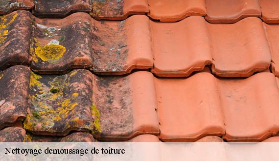 Nettoyage demoussage de toiture  paris-8-75008 AR renovation
