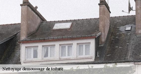 Nettoyage demoussage de toiture  paris-8-75008 Scheit couverture 75
