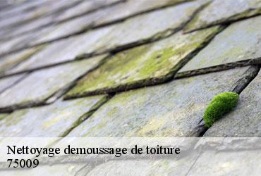 Nettoyage demoussage de toiture  paris-9-75009 AR renovation