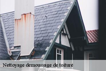 Nettoyage demoussage de toiture  paris-9-75009 AR renovation