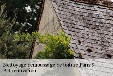 Nettoyage demoussage de toiture  paris-9-75009 AR renovation