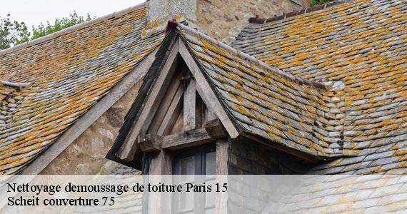 Nettoyage demoussage de toiture  paris-15-75015 Scheit couverture 75
