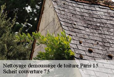 Nettoyage demoussage de toiture  paris-15-75015 Scheit couverture 75