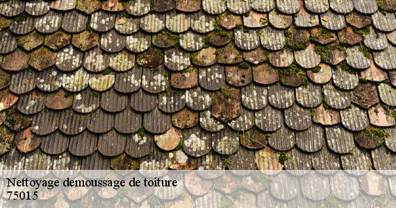 Nettoyage demoussage de toiture  paris-15-75015 Scheit couverture 75