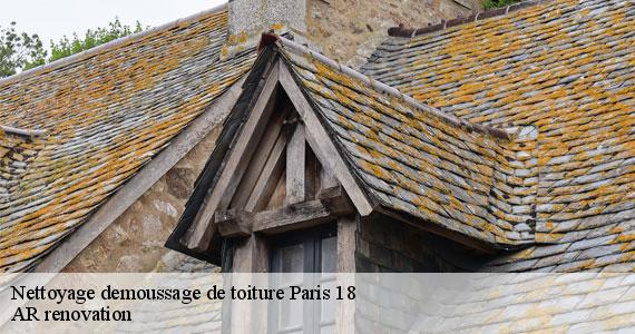 Nettoyage demoussage de toiture  paris-18-75018 AR renovation