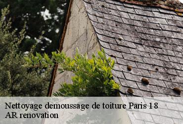 Nettoyage demoussage de toiture  paris-18-75018 AR renovation
