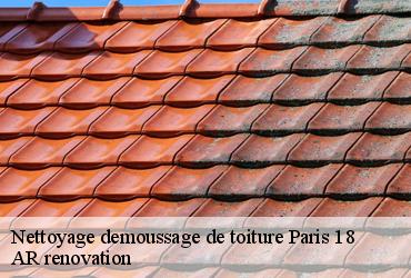 Nettoyage demoussage de toiture  paris-18-75018 AR renovation