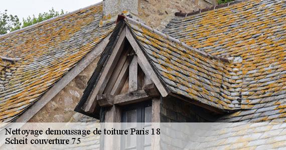 Nettoyage demoussage de toiture  paris-18-75018 Scheit couverture 75