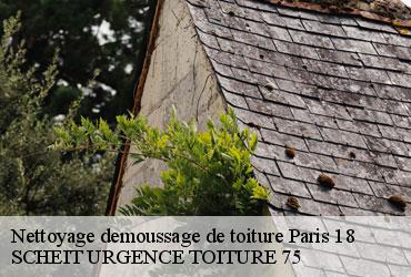 Nettoyage demoussage de toiture  paris-18-75018 SCHEIT URGENCE TOITURE 75
