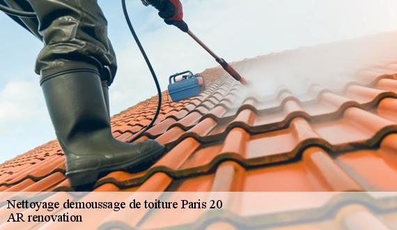 Nettoyage demoussage de toiture paris-20-75020 TCE Dalstein