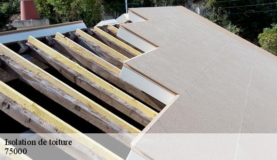 Isolation de toiture  paris-75000 AR renovation