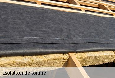 Isolation de toiture  paris-6-75006 AR renovation