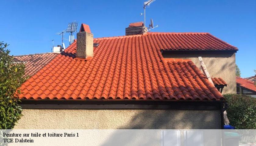 Peinture sur tuile et toiture  paris-1-75001 TCE Dalstein