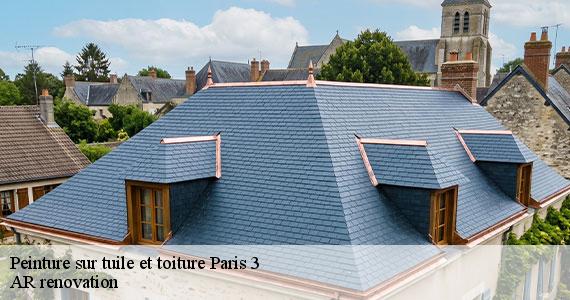 Peinture sur tuile et toiture  paris-3-75003 AR renovation