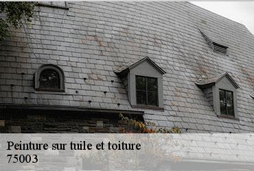 Peinture sur tuile et toiture  paris-3-75003 AR renovation