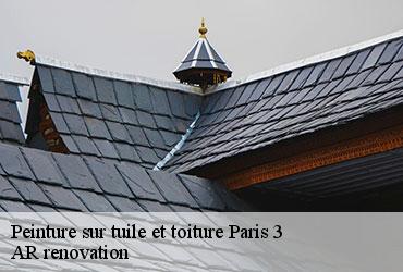 Peinture sur tuile et toiture  paris-3-75003 AR renovation