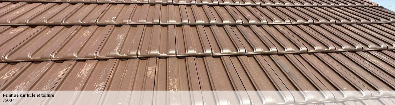 Peinture sur tuile et toiture 75004