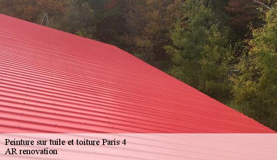 Peinture sur tuile et toiture  paris-4-75004 TCE Dalstein