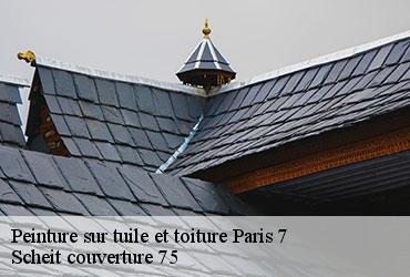 Peinture sur tuile et toiture  paris-7-75007 Scheit couverture 75
