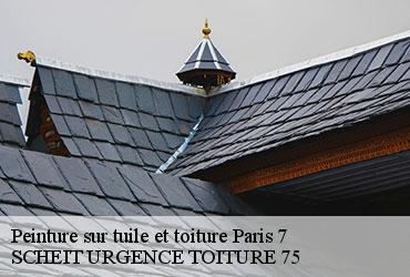 Peinture sur tuile et toiture  paris-7-75007 SCHEIT URGENCE TOITURE 75