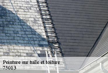 Peinture sur tuile et toiture  paris-13-75013 AR renovation