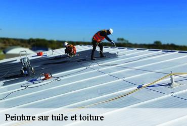 Peinture sur tuile et toiture  paris-13-75013 AR renovation