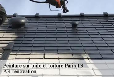 Peinture sur tuile et toiture  paris-13-75013 AR renovation