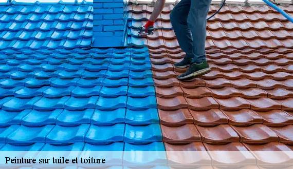 Peinture sur tuile et toiture  paris-13-75013 AR renovation
