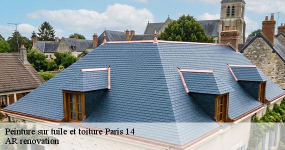 Peinture sur tuile et toiture  paris-14-75014 AR renovation