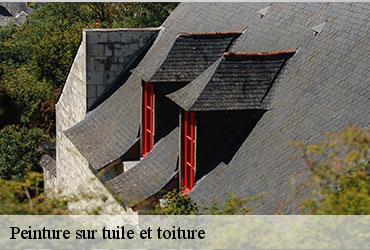 Peinture sur tuile et toiture  paris-19-75019 AR renovation