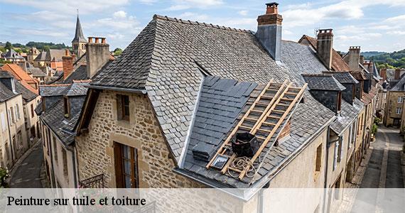 Peinture sur tuile et toiture  paris-19-75019 Scheit couverture 75