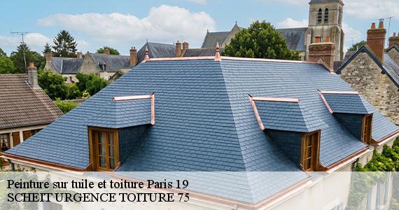 Peinture sur tuile et toiture  paris-19-75019 SCHEIT URGENCE TOITURE 75