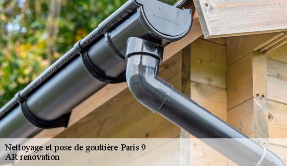 Nettoyage et pose de gouttière paris-9-75009 TCE Dalstein