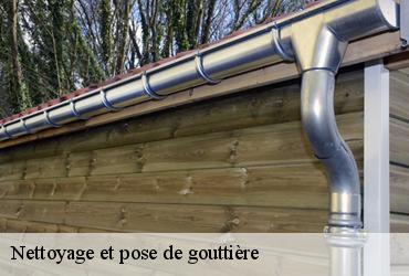 Nettoyage et pose de gouttière  paris-10-75010 AR renovation