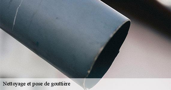 Nettoyage et pose de gouttière  paris-12-75012 Scheit couverture 75