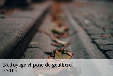 Nettoyage et pose de gouttière  paris-15-75015 AR renovation